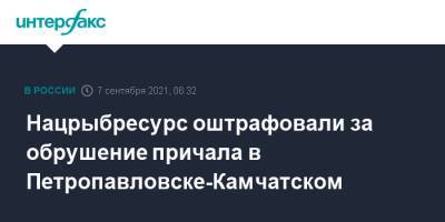Нацрыбресурс оштрафовали за обрушение причала в Петропавловске-Камчатском