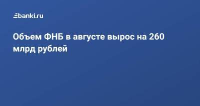 Объем ФНБ в августе вырос на 260 млрд рублей