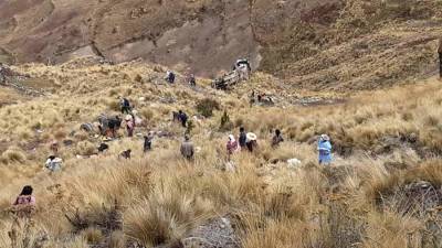 Минимум 21 человек погиб при падении автобуса в овраг в Боливии