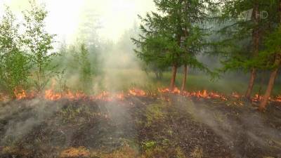 Аномально теплая погода не дает полностью справиться с лесными пожарами в Якутии