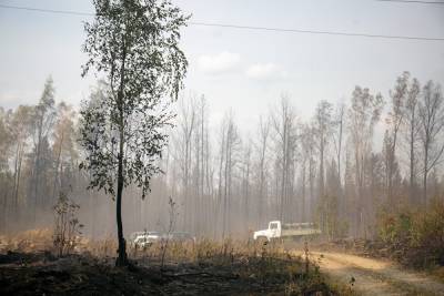 Смог в Шадринск пришел из Далматовского района, где действует пять природных пожаров