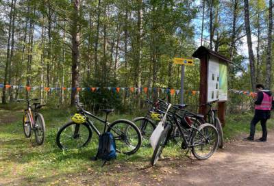 В Ленобласти протестировали велосипедный маршрут «Экологический»