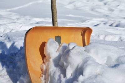 Управляющие компании обязали убирать дворы во время снегопадов за два часа