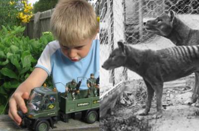 День в истории: 7 сентября - Последний сумчатый волк и уничтожение военных игрушек
