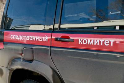 Следователи завели дело после пропажи двух школьниц в Кемеровской области
