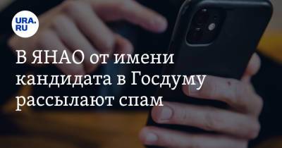 В ЯНАО от имени кандидата в Госдуму рассылают спам. Главный юрист ЯНАО сделал заявление