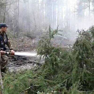 Аномальное тепло осложняет ситуацию с лесными пожарами в Якутии