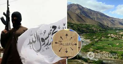 Ахмад Масуд - Талибы заявили о полном контроле над провинцией Панджшер - obozrevatel.com - Турция