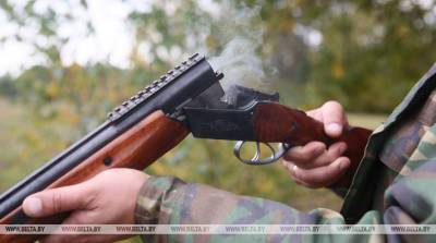 В Чашникском районе мужчина выстрелил в знакомого из ружья