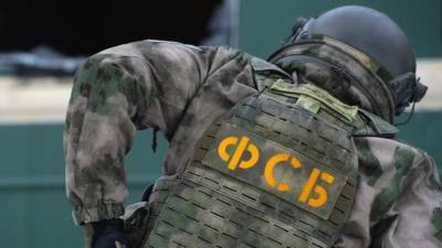 В ФСБ назвали организаторов диверсии на газопроводе в Крыму в августе