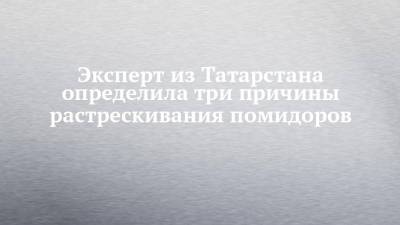 Эксперт из Татарстана определила три причины растрескивания помидоров