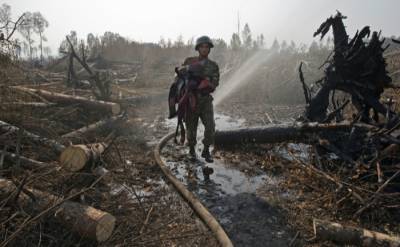 Смог от лесных пожаров в Свердловской и Курганской областях дошел до Тюмени