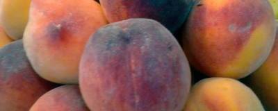 На оптовом рынке Красноярска обнаружили зараженные персики