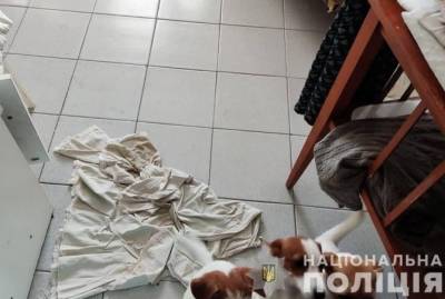 Дома у семьи из Черкасс, где умер изувеченные маленький мальчик, голодают собаки