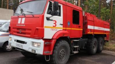 Пензенские спасатели вернулись с тушения лесных пожаров в Сарове