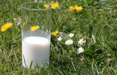 Доходность производства молока продолжает расти