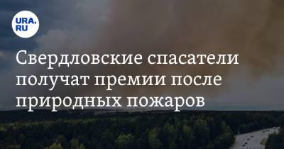 Свердловские спасатели получат премии после природных пожаров