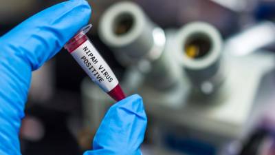 Вспышка смертельного вируса Нипах зафиксирована в Индии: от него нет вакцины