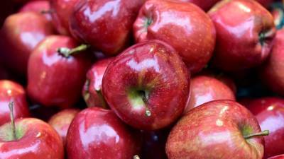 Диетолог Соломатина перечислила способы заготовки яблок на зиму