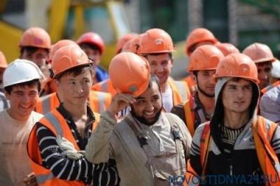 Шойгу заявил, что для строительства новых городов привлекут трудовых мигранатов