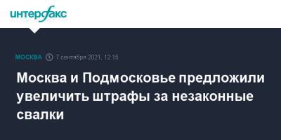 Москва и Подмосковье предложили увеличить штрафы за незаконные свалки