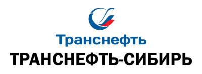 Сотрудники АО "Транснефть – Сибирь" отмечены наградами по случаю профессионального праздника
