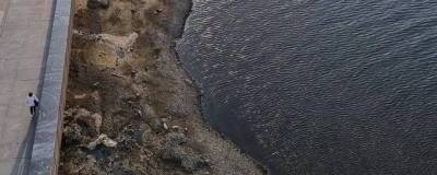 В Тюмени пересохла река Тура