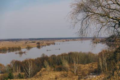 В Рязанской области стоимость моста-дублёра через Оку возросла до 19 миллиардов