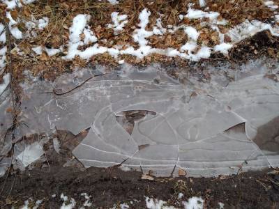 Жителей Башкирии предупредили о заморозках до -3 градусов и сильном ветре