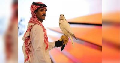 Живого птаха продали на аукціоні майже за півмільйона доларів