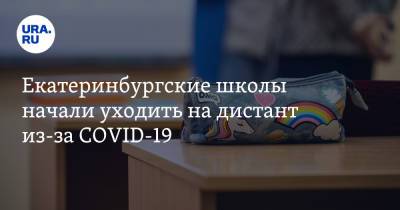 Екатерина Сибирцева - Екатеринбургские школы начали уходить на дистант из-за COVID-19 - ura.news