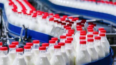 В Подмосковье произвели более 400 тысяч тонн молока в 2021 году