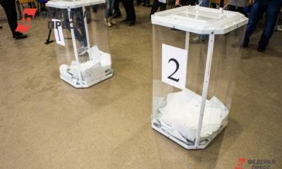 Эксперты опровергли главные мифы о российских выборах