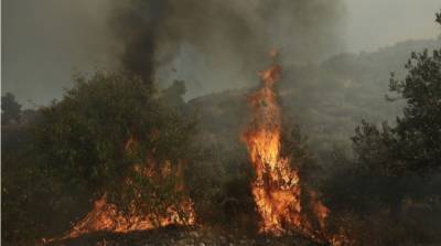 В Греции вспыхнул лесной пожар на горе Афон