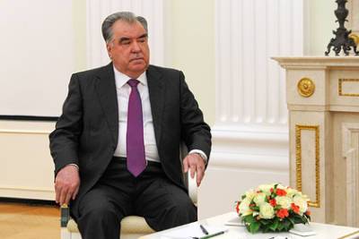 Таджикским чиновникам запретят писать диссертации без согласия президента