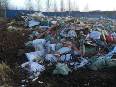 Российский экологический оператор: Стране угрожает «мусорный апокалипсис»