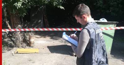 Убийство двух школьниц в Кузбассе. Главное