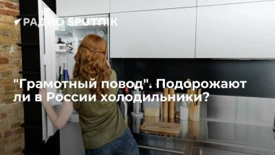 "Грамотный повод". Подорожают ли в России холодильники?