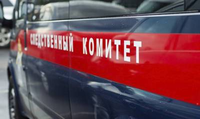 После убийства двух девочек в Киселевске СКР возбудил дело о халатности в отношении должностных лиц