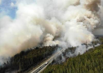 Количество лесных пожаров в Свердловской области в этом году оказалось рекордным за последние 10 лет - эксперт