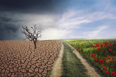 Ученые из Германии и Канады спрогнозировали учащение периодов аномальной засухи в Европе и мира