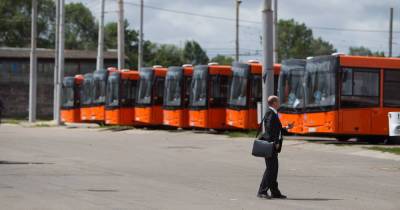 В Калининграде приостановили закупку трамваев и автобусов