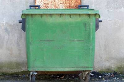 В Сольцах украли праздничный контейнер для мусора