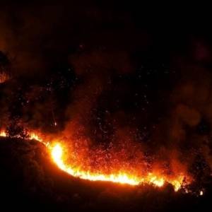 На севере Испании вспыхнули масштабные лесные пожары
