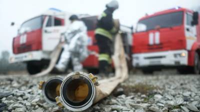ТАСС: в Хакасии загорелись хозпостройки около дома отшельницы Лыковой