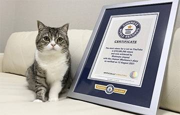 Японский кот попал в Книгу Гиннеса по количеству просмотров на YouTube