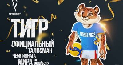 Болельщики выбрали талисман ЧМ-2022 по волейболу