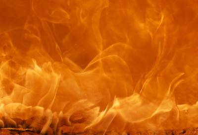 В Сиверском из-за квартирного пожара эвакуировали 10 человек - online47.ru - Санкт-Петербург - район Гатчинский - Военный - Сиверск