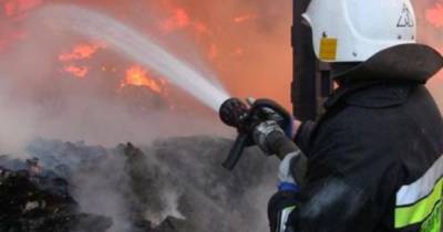 Пожар в Умани: пострадали шестеро подростков, десятки — эвакуированы (ФОТО)