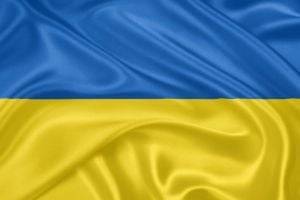 Подростка будут судить за надругательство над флагом Украины